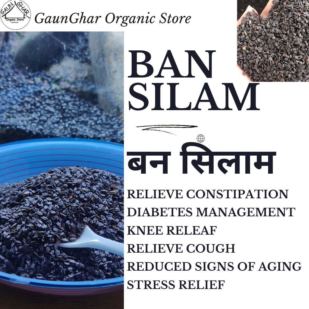 Ban Silam ( Himalayan Mint ) Seeds 200 gm
